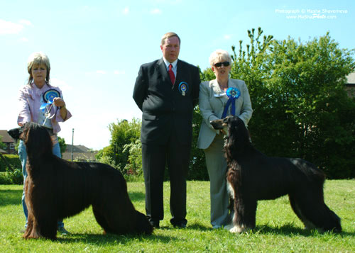 Best in Show and Reserve Best in Show @ Southern Afghan Club's Open Show 2005