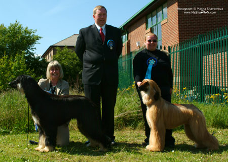 Best Puppies in Show @ Southern Afghan Club's Open Show 2005